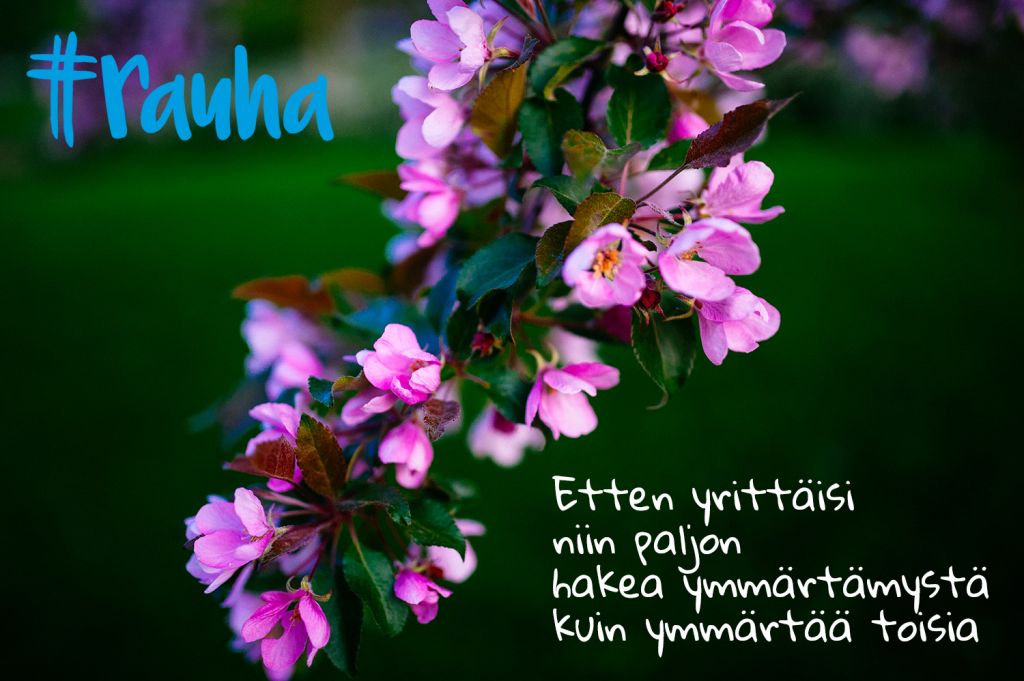 Rauhamaassa.fi